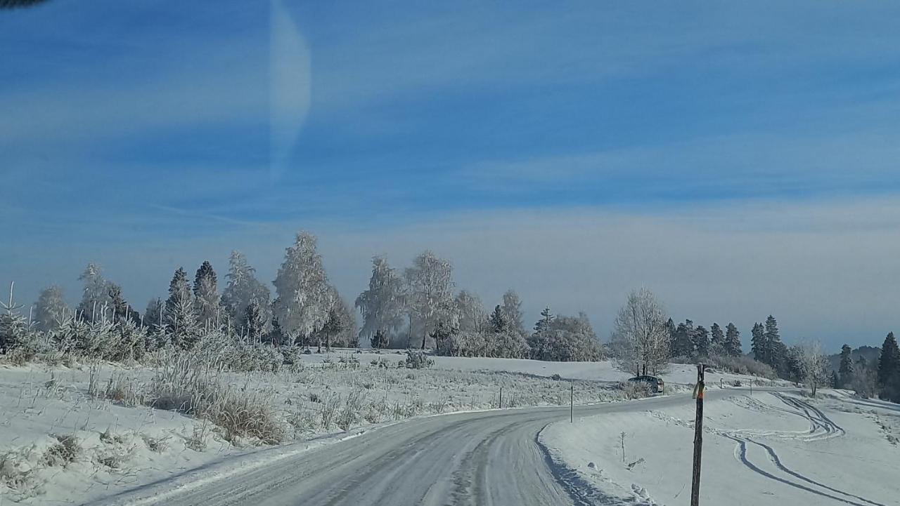 Appartamento U Halinki Czorsztyn Esterno foto